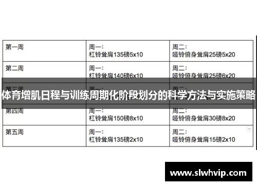 体育增肌日程与训练周期化阶段划分的科学方法与实施策略